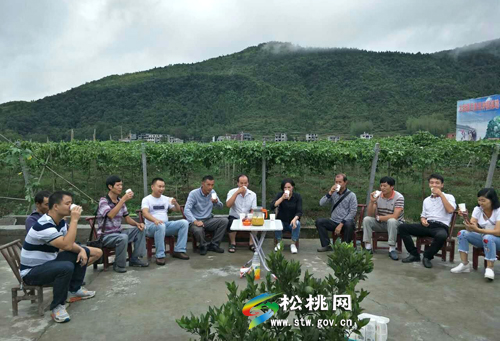 大路镇:“松货出山”有诀窍