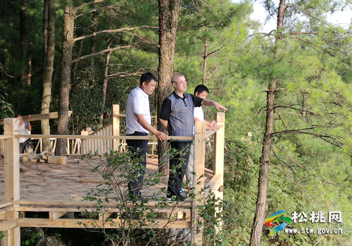 冉晓东深入盘石等地调研脱贫攻坚信访维稳环境保护等工作