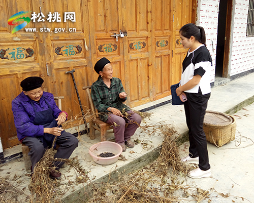 冷水溪镇驻红星村“第一书记”走访群众解民忧