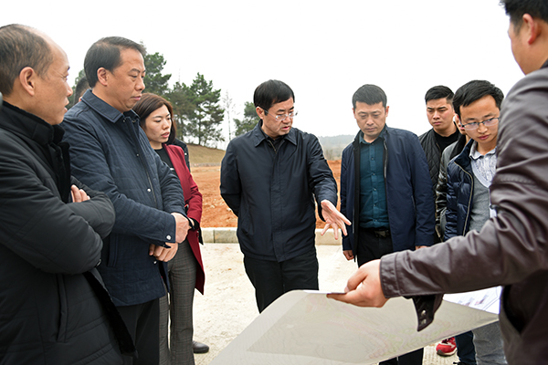冉晓东调研全域绿化“六绿”攻坚行动工作时强调
