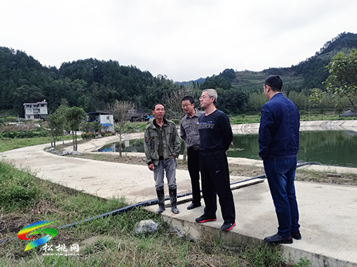 冉晓东在妙隘大路平头调研时强调