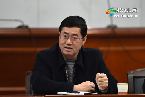冉晓东参加长兴、迓驾、黄板、木树代表团讨论审议报告