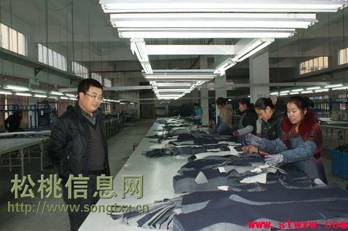 我县组团赴秀山、酉阳新型工业园区参观考察