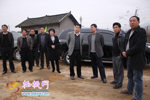 冉晓东到盘石、长坪、正大、长兴堡四乡镇调研