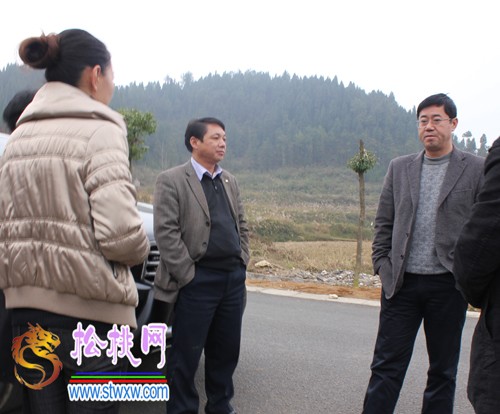 冉晓东到盘石、长坪、正大、长兴堡四乡镇调研