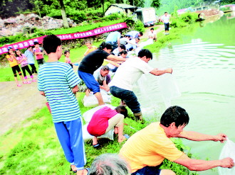 【贵州日报】松桃免费向农户发放70万尾优质鱼苗