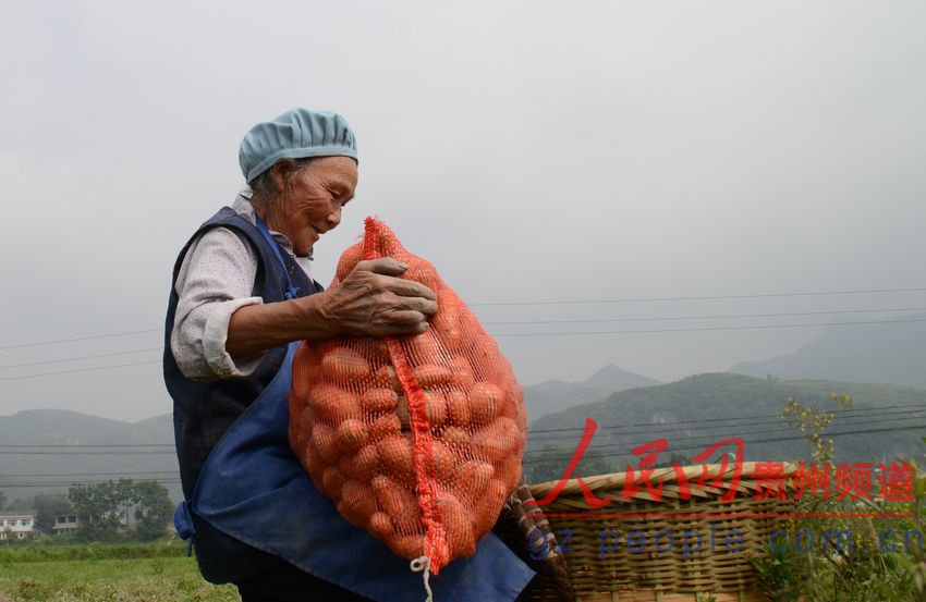 【人民网】丰收的喜悦