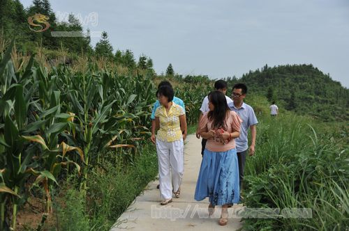 刘婕到松桃迓驾开展驻村帮扶