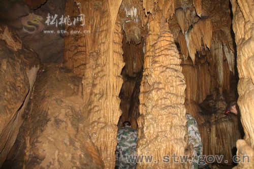 探游盘豹洞