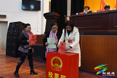 松桃苗族自治县第十六届人民代表大会第一次会议胜利闭幕