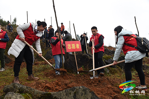 松桃举行2017年全民义务植树活动启动仪式