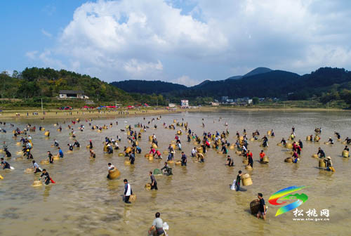 岶Ļ Ⱥַ